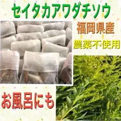 kayo 様専用　専用ページ　　２０個