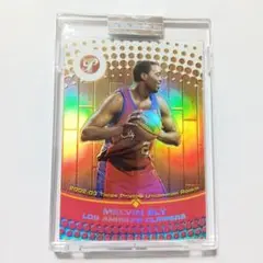 メルビン・イーリー 2002/03 NBAカード