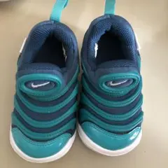 Nike ダイナモフリー