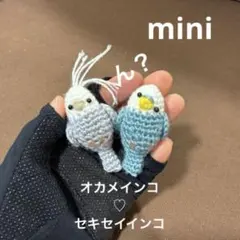 ◇ オカメインコ♡セキセイインコ♡インコ♡カラス♡文鳥　あみぐるみ　かぎ針編み