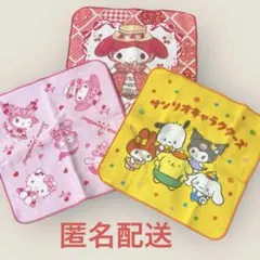 サンリオキャラハンドタオル　ホカンスデザイン　レトロルーム　アカメロ　3枚セット