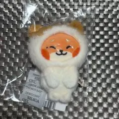 zeroni フラットぬいぐるみ メテュ マシュー zb1 ぬいぐるみ zb1 フラットぬいぐるみzeroni ジウンウンニニゼロニ