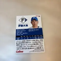 2026年最新】プロ野球チップス 伊藤大海 エラーカードの人気アイテム
