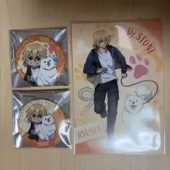 Dr.STONE with Dogs みに 缶バッジ 特典ポストカード 龍水