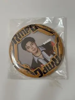 武知海青 缶バッジ