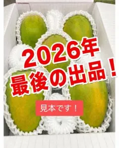 沖縄産　マンゴー　6種　化粧箱 沖縄産 マンゴー6種 化粧箱 - メルカリ