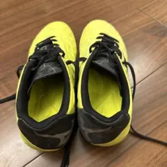 Item thumbnail for item 2b54d453-8264-4484-8b99-221d3bb20010