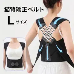 姿勢サポーター Ｌ 猫背矯正ベルト 姿勢ベルト 背筋ベルト 肩甲骨サポーター