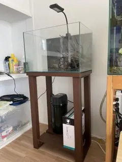 引取限定】90cm 大型 ガラス LOW水槽 - メルカリ