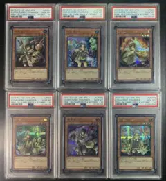 2025年最新】デュエリストカードプロテクター 六属性セットの