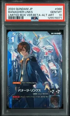 2025年最新】ガンダムカードゲーム リミテッドbox ver.β パラレルの