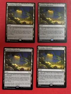 MTG ユーミディアンの孵化場 英語 4枚セット