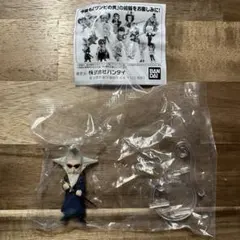 ワンピの実　フィガーランド・ガーリング聖