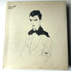 【美品・希少】エゴン・シーレ1890-1918 画集　エルヴィン・ミッチ著　箱付 美品・希少】エゴン・シーレ1890-1918 画集 エルヴィン・ミッチ著 箱付