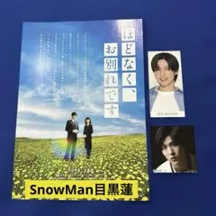 SnowMan目黒蓮　映画フライヤー&厚紙　ジャニーズ　STARTO