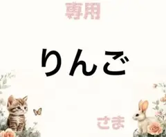 専用