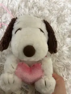 USJ スヌーピー　ポーチ　ショルダー