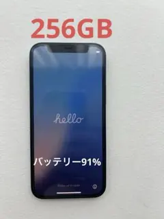iPhone 12 mini 256GB SIMフリー　付属品ありのサムネイル