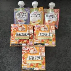 森永 はじめてのベビーフード 和光堂 栄養マルシェ 離乳食セット