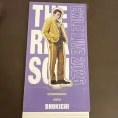 s*i様 EXILETHE REASON アクスタSHOKICHI