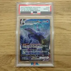 2026年最新】こくばバドレックスvmax sa psa10の人気アイテム - メルカリ