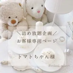 トマトちゃん様専用