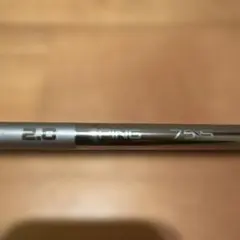 2026年最新】ピンツアーシャフトの人気アイテム - メルカリ