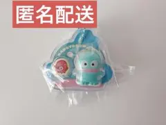 サンリオキャラクターズ パッケージチャーム ハンギョドン
