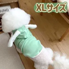 犬服猫服　ペット服　ペットウェア　ドッグウェア　裏起毛うさぎグリーンXLサイズ