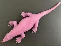 コモドオオトカゲ スーパーアニマル　&co デアゴスティーニ　アンドコ