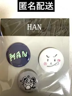 Stray Kids スキズ RUN IT JAPAN 缶バッジセット ハン