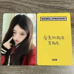 ILLIT ユナ MAMIHLAPINATAPAI 一直娱 2.0 特典トレカ - メルカリ