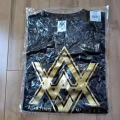 Item thumbnail for item 50d0fb80-02c7-4af5-a7f9-bbdf1bcbbe4b