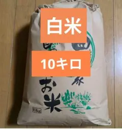 精米済み　10キロ　白米　コシヒカリ　長野県産　令和6年のサムネイル