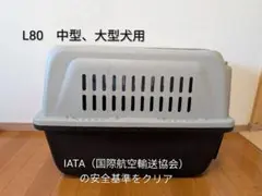 Item thumbnail for item 9853f36e-753a-4700-b2cf-5274c96b7c1e