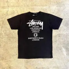 STUSSY GREEN SLEEVES 30th GS LOGO Tシャツ