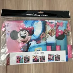 東京ディズニーリゾート ミニーポーチ 3枚セット