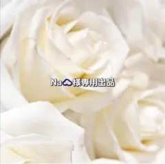 Na☁️様専用出品