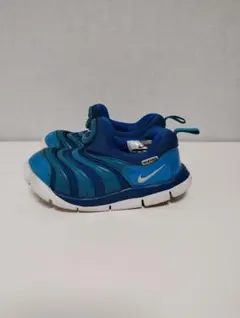 NIKEダイナモフリー