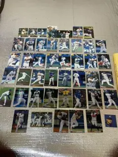 カルビープロ野球チップスカード横浜1990〜2013