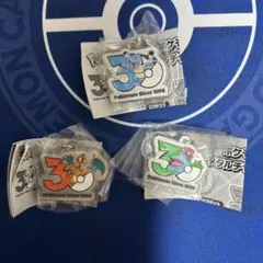 ポケモン 30周年 メタルチャームマスコット リザードン　カメックス　フシギバナ