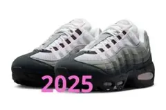 NIKE WMNS AIR MAX 95 OG PINK FORM 2025