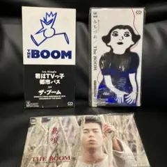THE BOOM 8cmCD 3枚セット　みちづれ　島唄　君はTVっ子