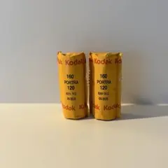 【期限切れ】Kodak PORTRA 160 120フィルム 2本セット