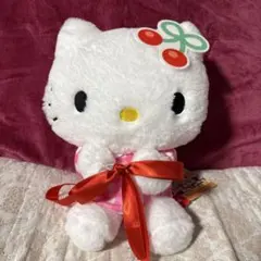 Myハローキティ　抱っこポーズドール　BIG タイプ3