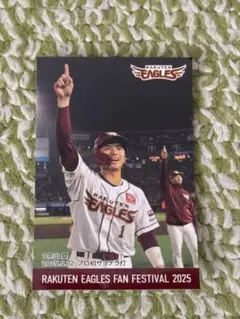 宗山塁 応援グッズ