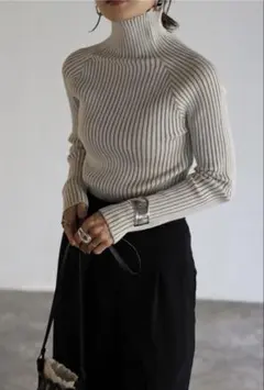 Bonjour Sagan ハイネックワイドリブニット