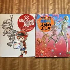 【美品】人体のふしぎ　講談社の動く図鑑MOVE DVD付き　 絵本 はたらく細胞