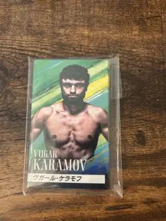 RIZIN LANDMARK11 ファンクラブ限定選手カード　新品未使用