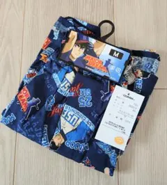 Item thumbnail for item 85655a38-efca-4b41-b6f5-841b23edb0f0